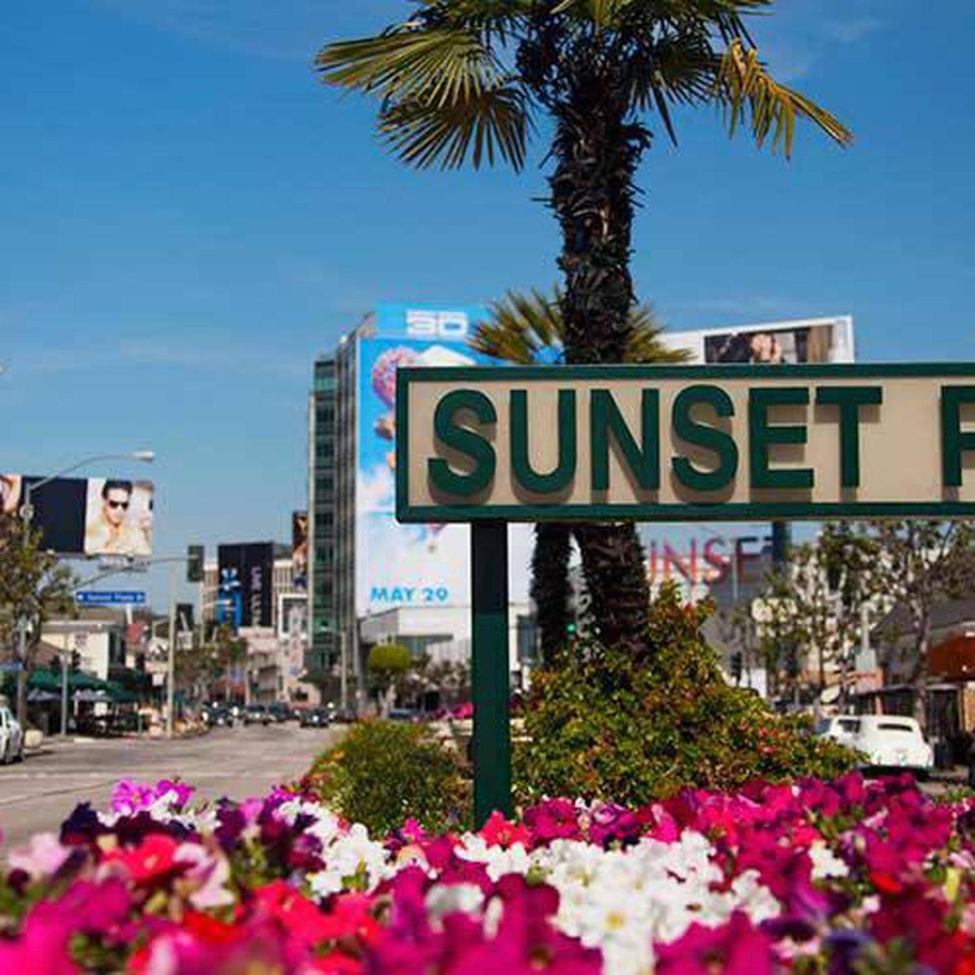 Amazing Large 2 Bedroom West Hollywood Apartment Лос-Анджелес Экстерьер фото